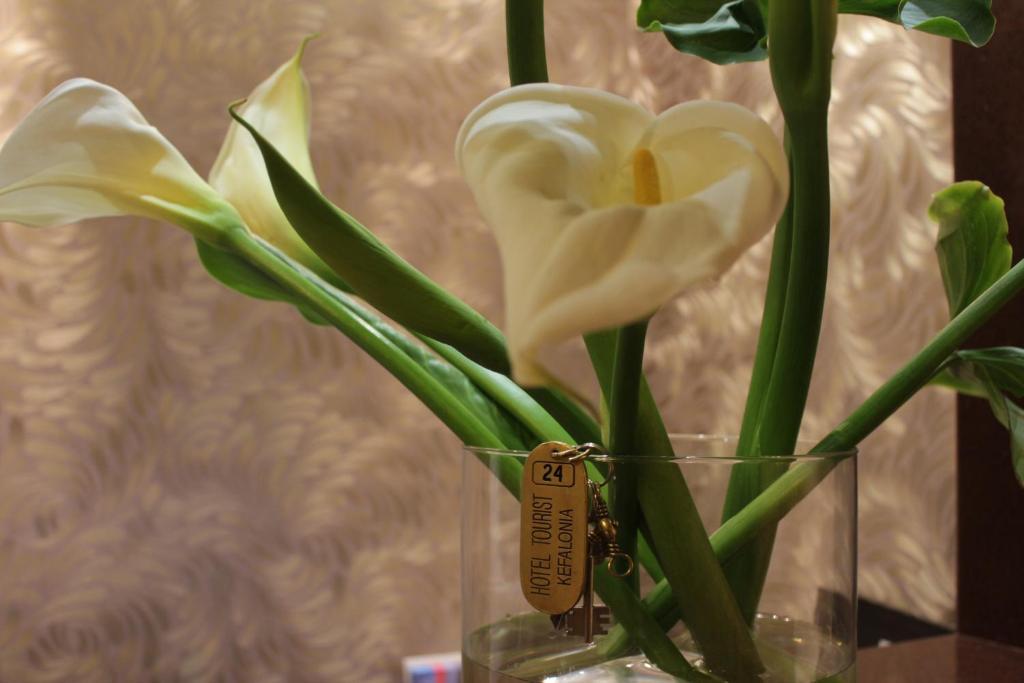 Tourist Boutique Hotel Аргостолион Екстериор снимка
